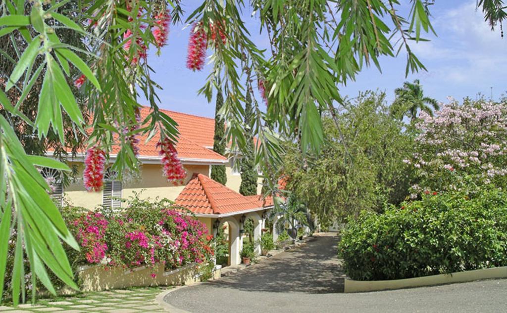 Polkerris Bed & Breakfast Teluk Montego Bagian luar foto